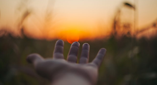 Благотворительная программа Справпортал